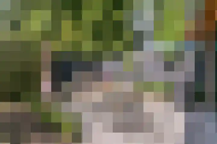 Paulus Potterlaan 14 Soest thumbnail 25