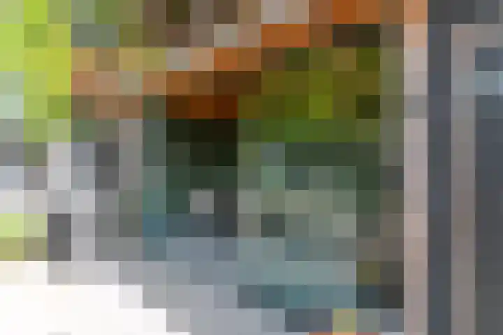 Paulus Potterlaan 14 Soest thumbnail 26