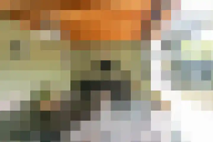 Paulus Potterlaan 14 Soest thumbnail 27