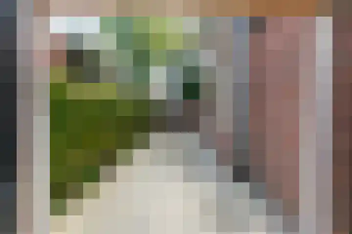 Paulus Potterlaan 14 Soest thumbnail 28