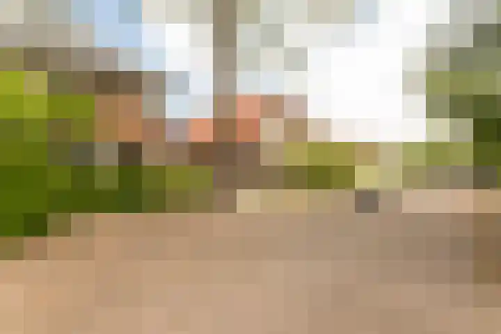 Paulus Potterlaan 14 Soest thumbnail 30