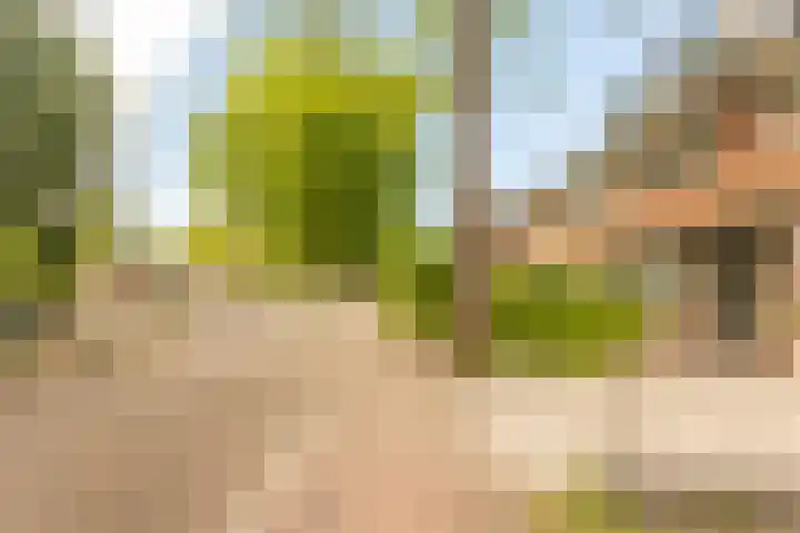 Paulus Potterlaan 14 Soest thumbnail 31