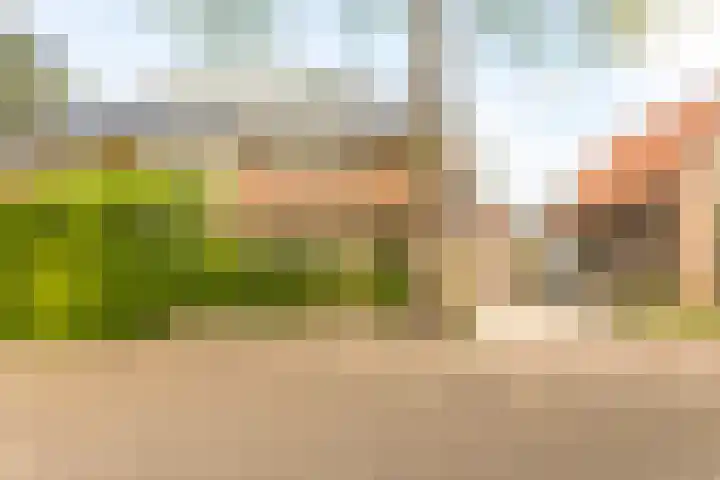 Paulus Potterlaan 14 Soest thumbnail 38
