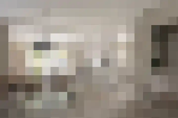 Paulus Potterlaan 14 Soest thumbnail 5