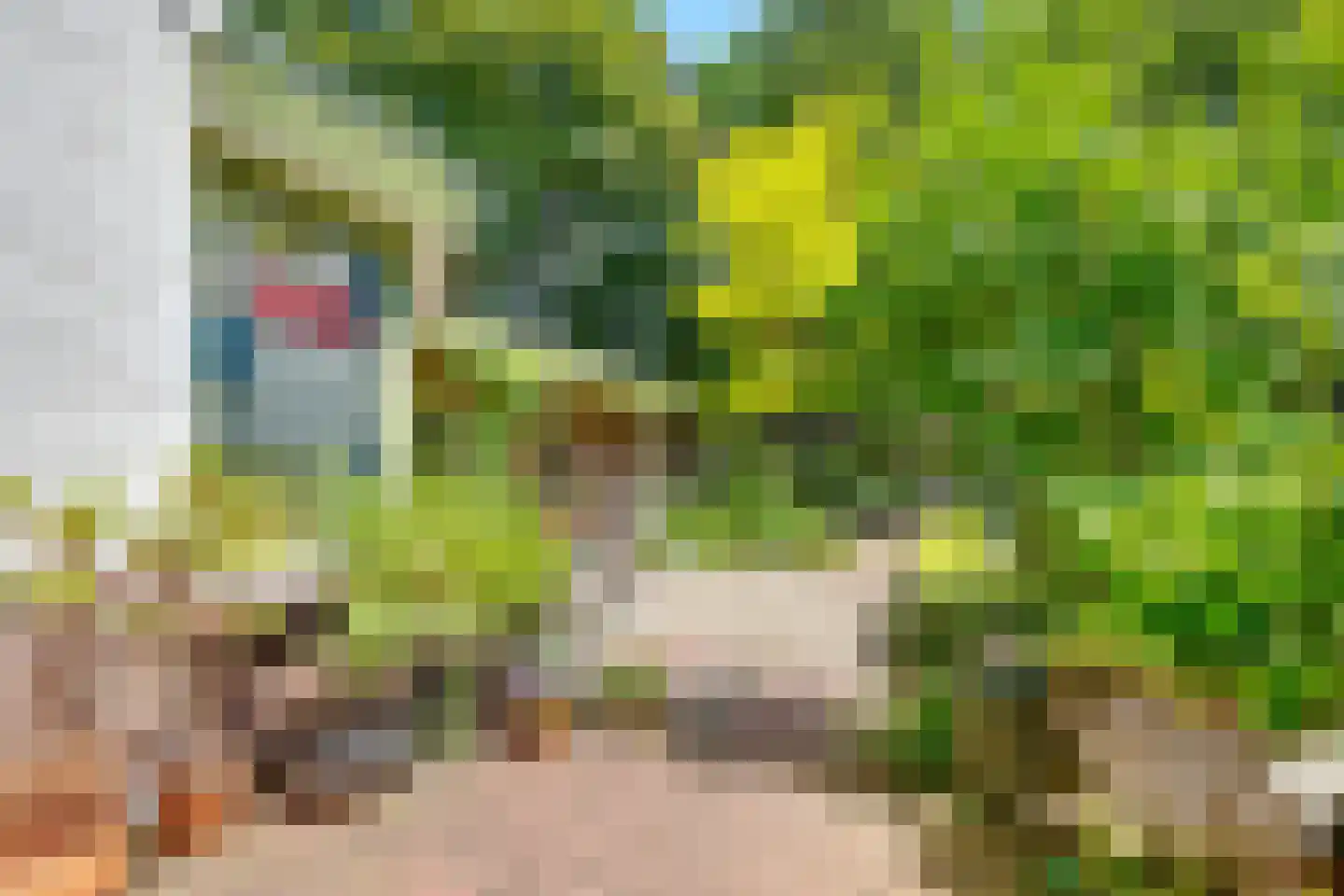 Paulus Potterlaan 22 Bilthoven thumbnail 15