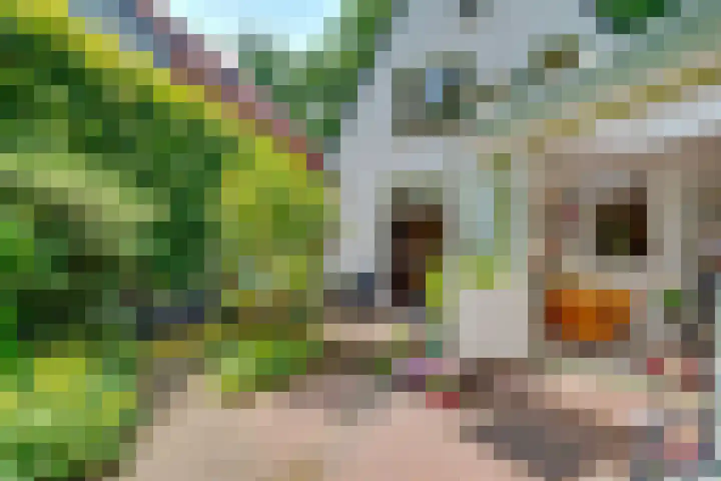 Paulus Potterlaan 22 Bilthoven thumbnail 16