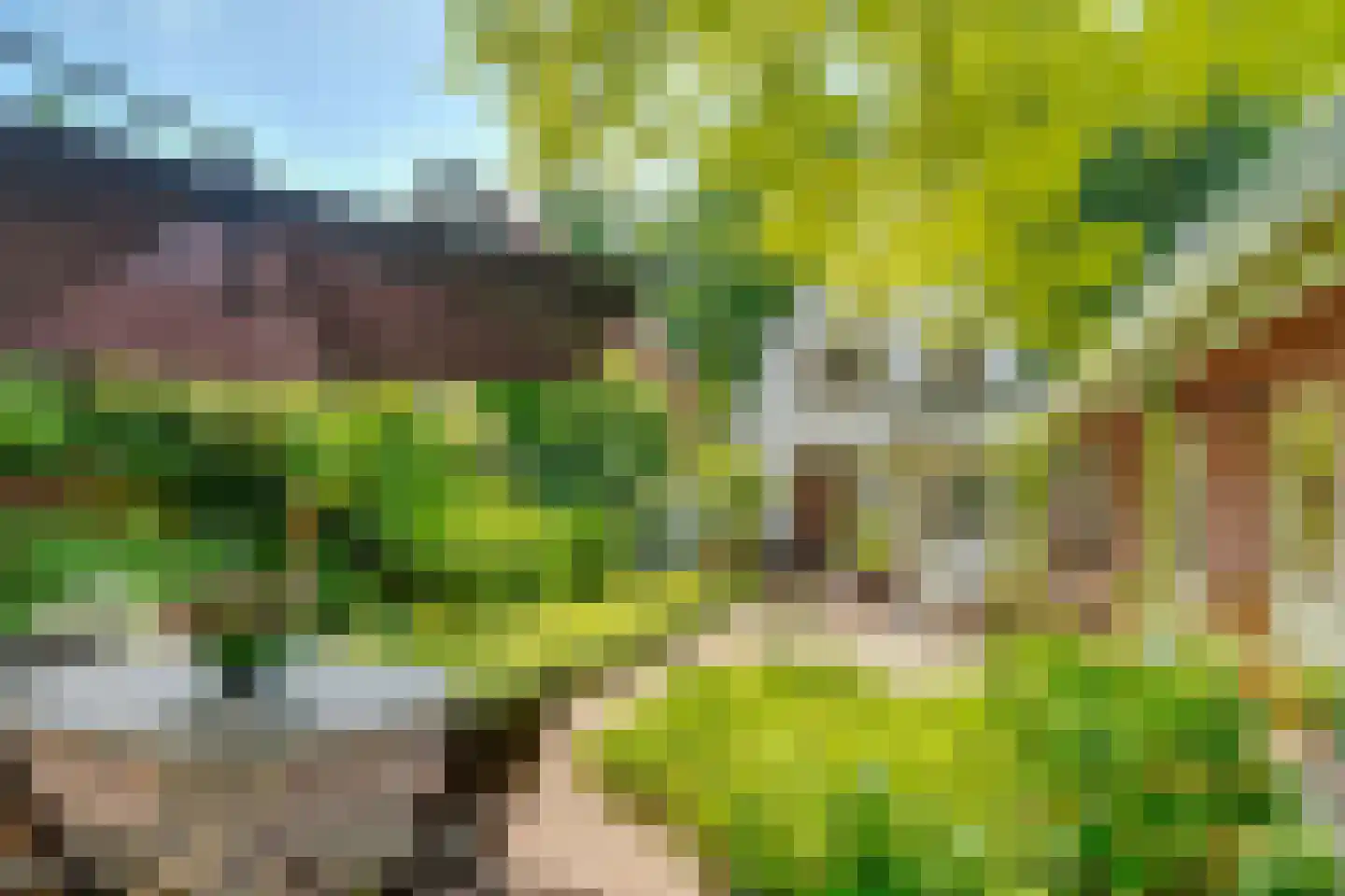 Paulus Potterlaan 22 Bilthoven thumbnail 18