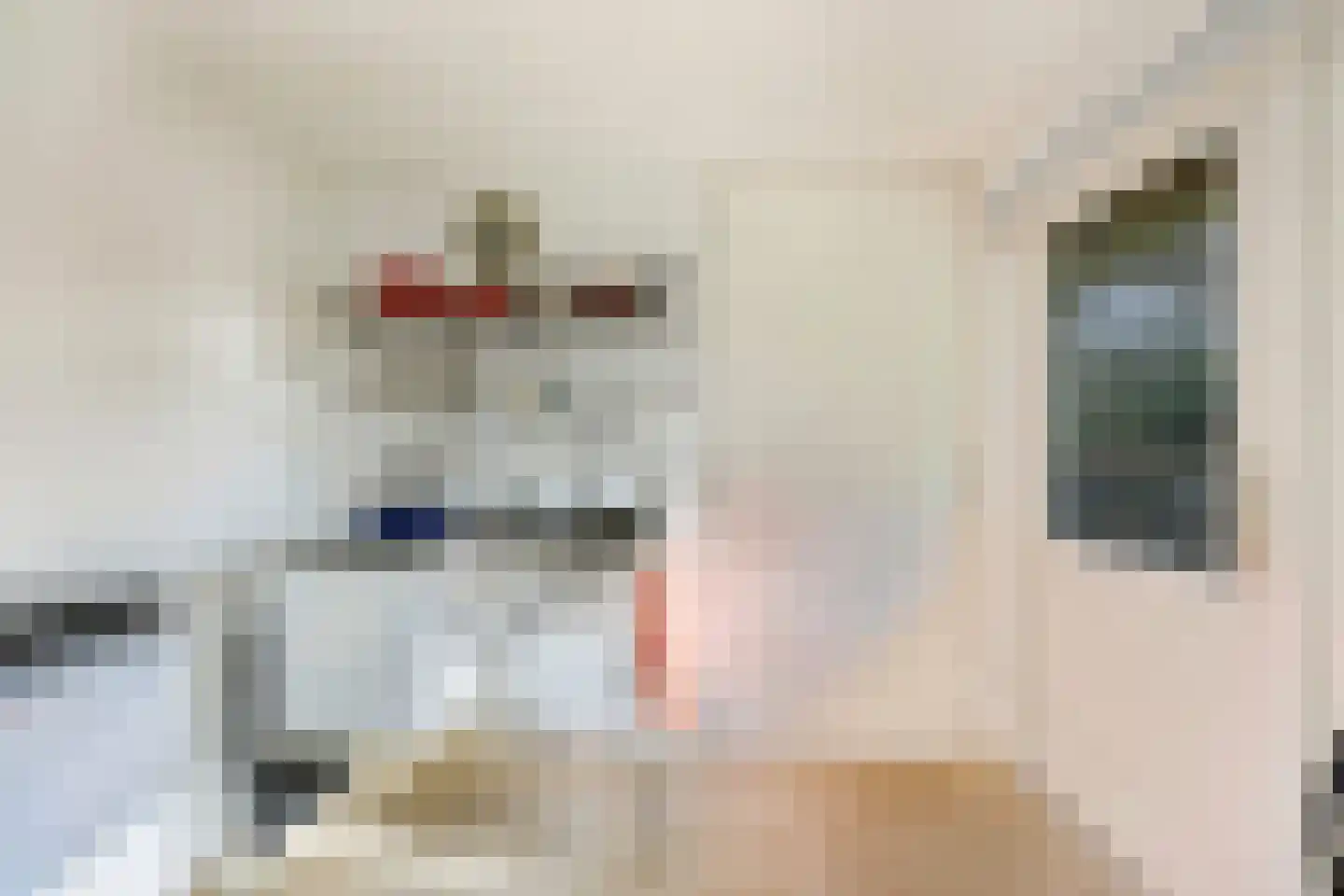 Paulus Potterlaan 22 Bilthoven thumbnail 25