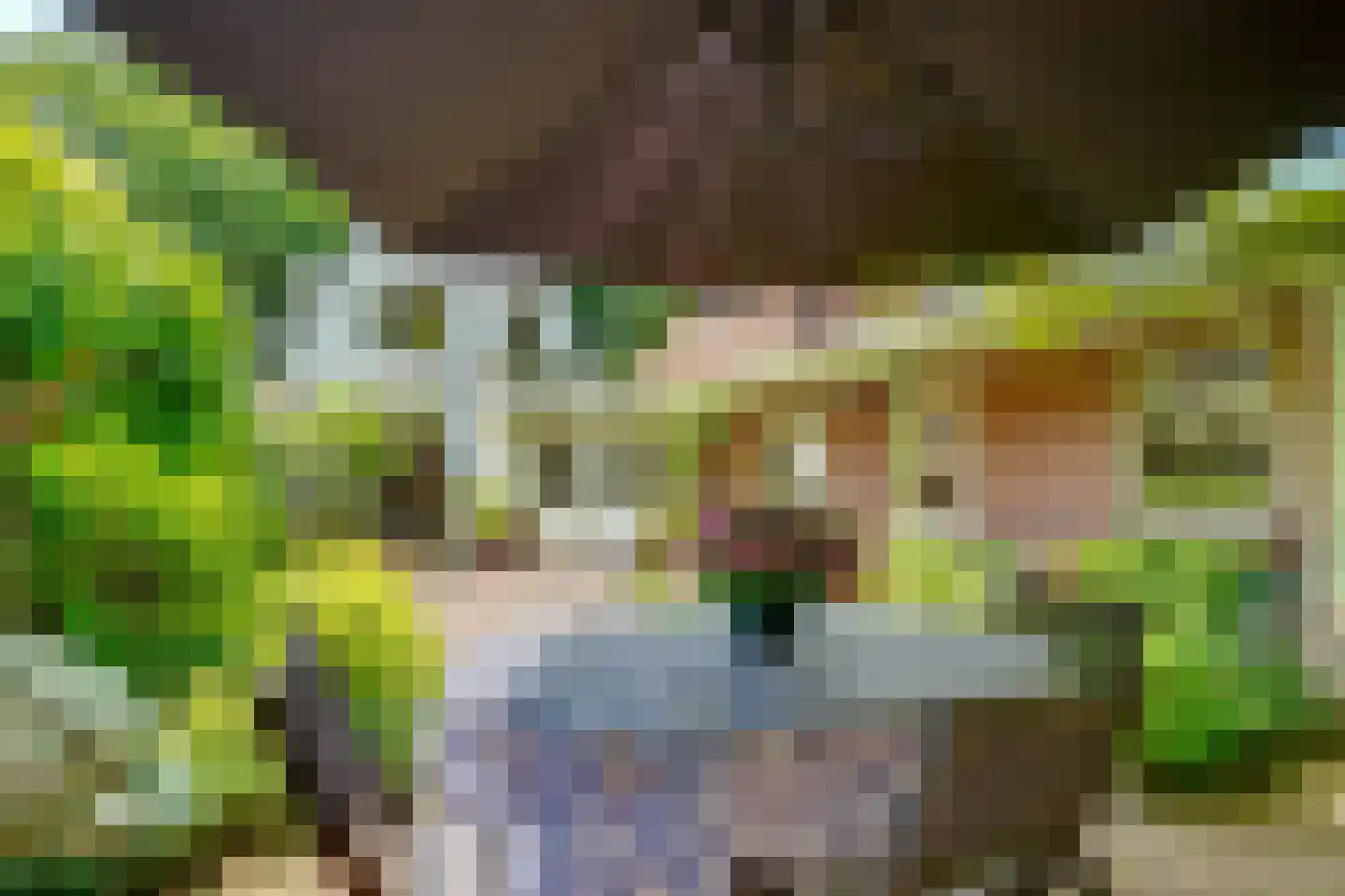 Paulus Potterlaan 22 Bilthoven thumbnail 29