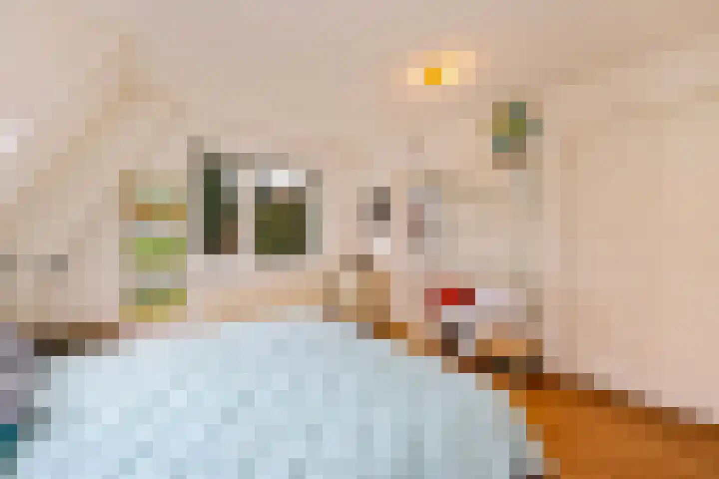 Paulus Potterlaan 22 Bilthoven thumbnail 34