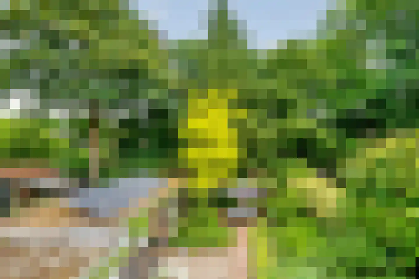 Paulus Potterlaan 22 Bilthoven thumbnail 39