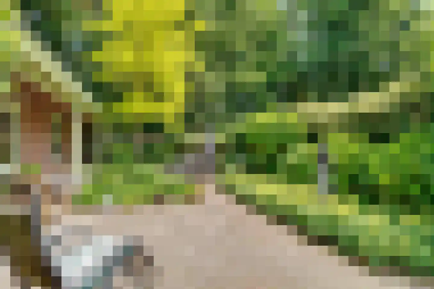 Paulus Potterlaan 22 Bilthoven thumbnail 49