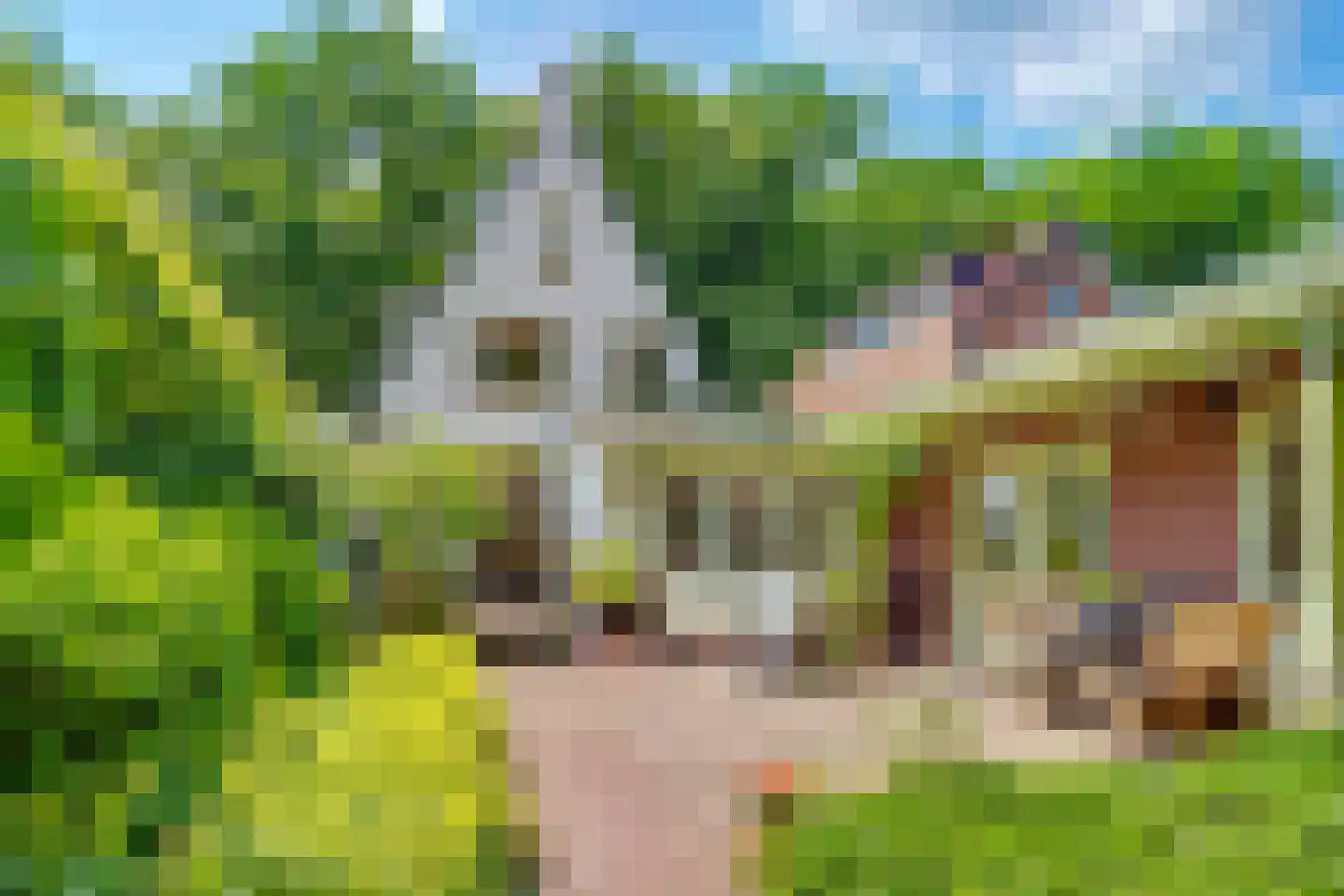 Paulus Potterlaan 22 Bilthoven thumbnail 5