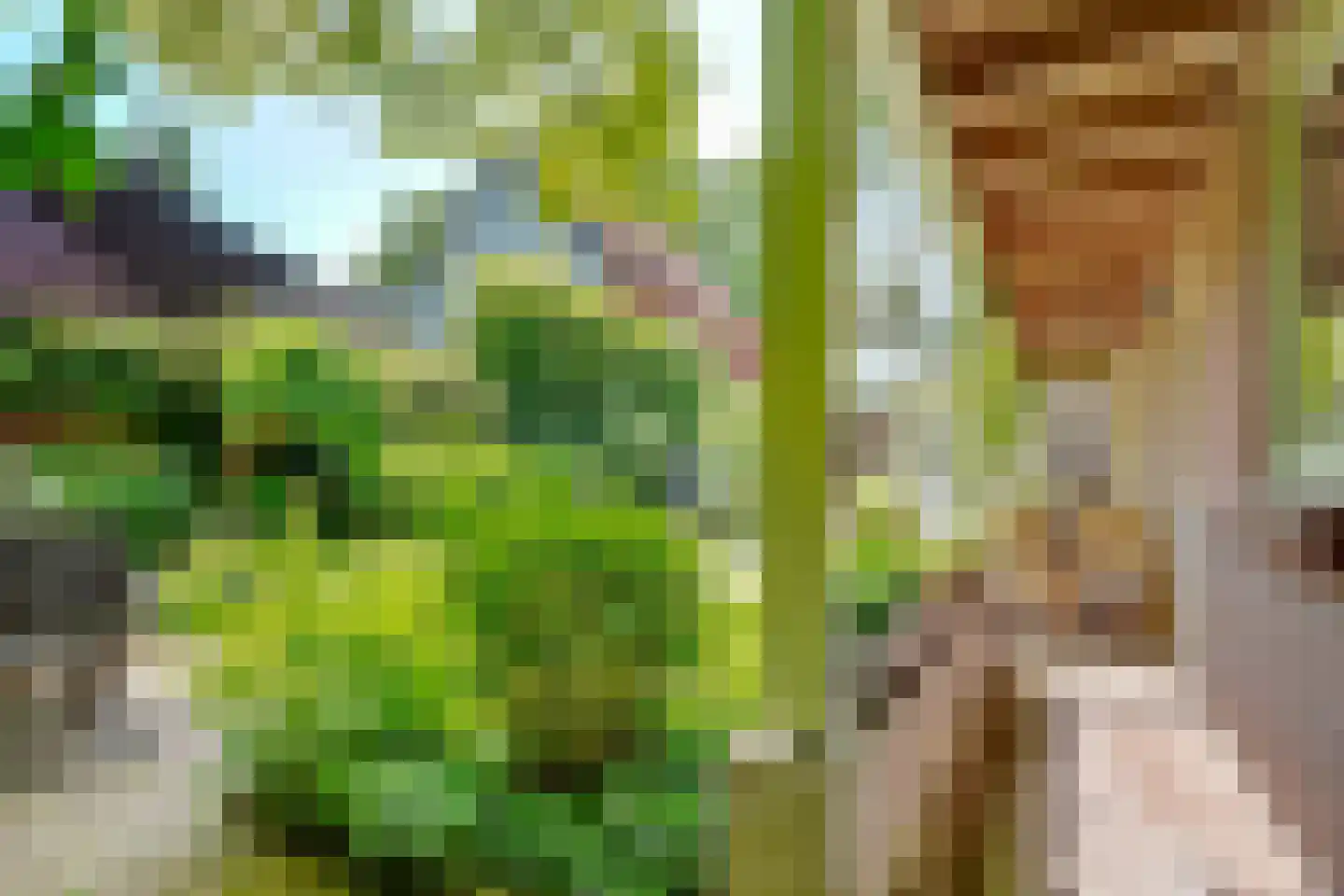 Paulus Potterlaan 22 Bilthoven thumbnail 50
