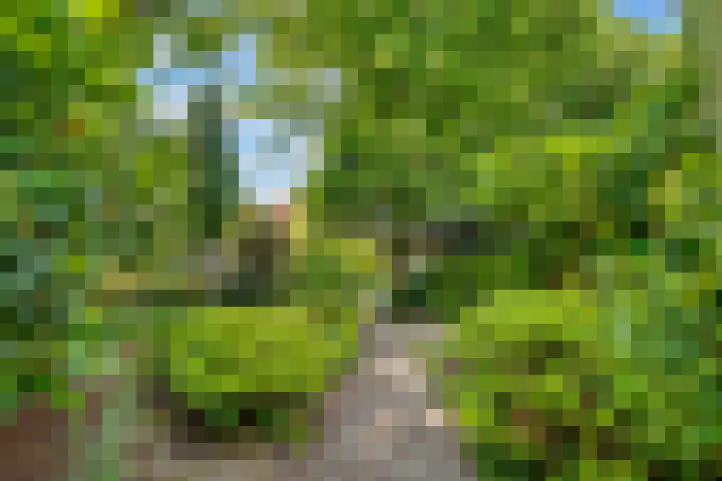 Paulus Potterlaan 22 Bilthoven thumbnail 53