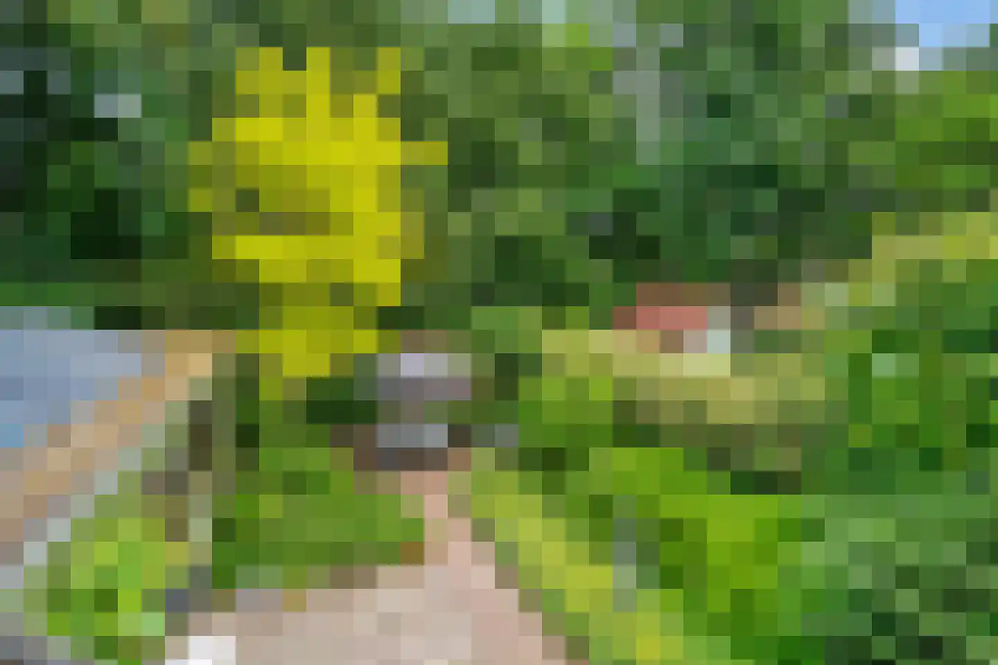 Paulus Potterlaan 22 Bilthoven thumbnail 56