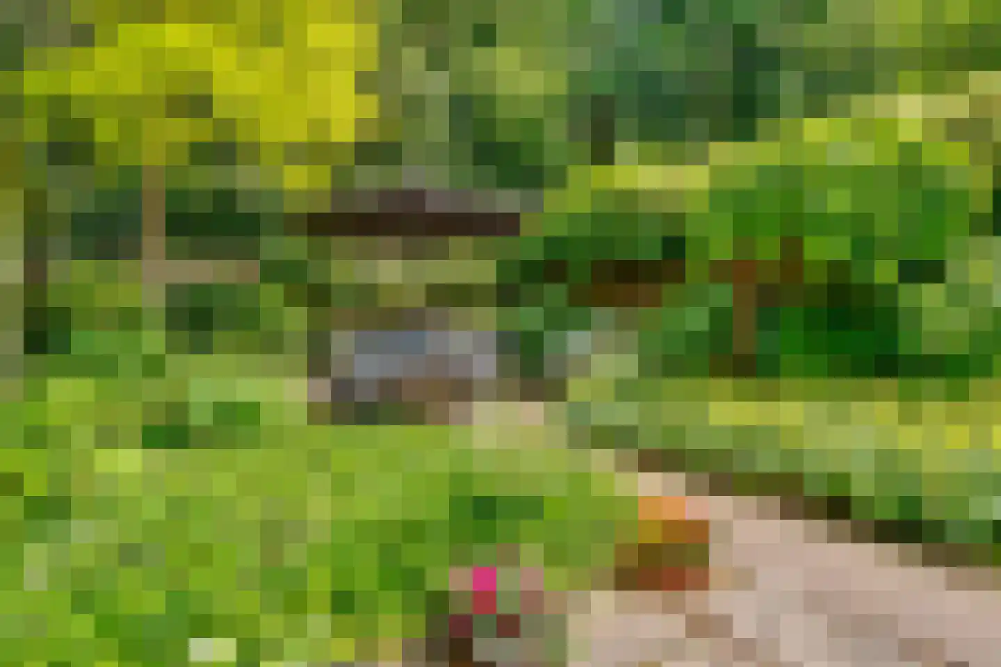 Paulus Potterlaan 22 Bilthoven thumbnail 57