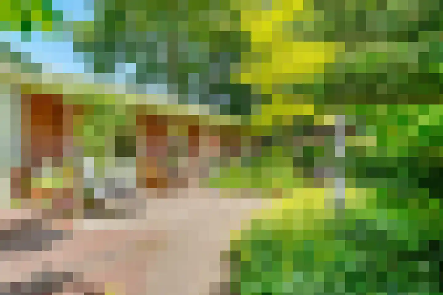Paulus Potterlaan 22 Bilthoven thumbnail 6