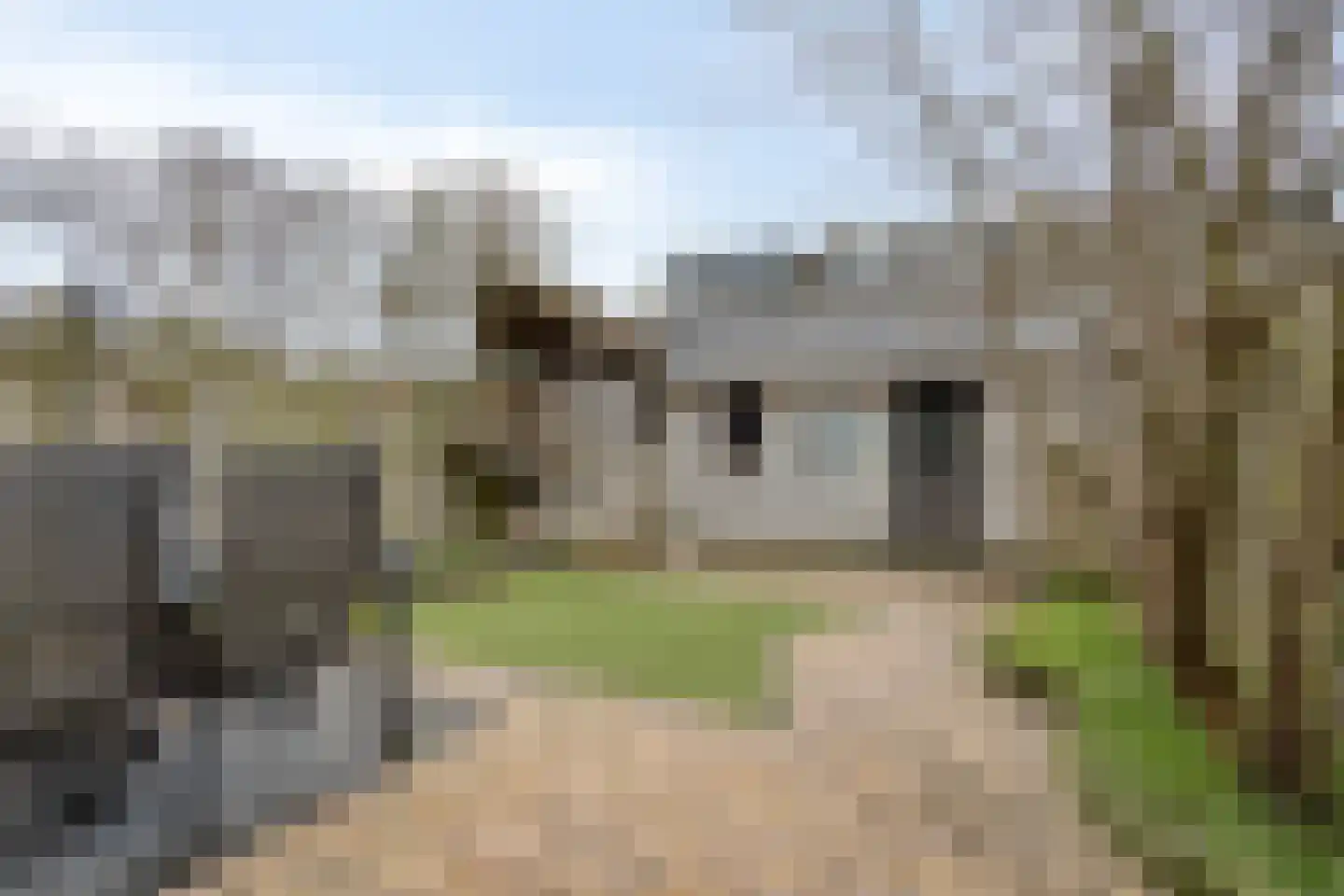 Paulus Potterlaan 22 Scherpenzeel thumbnail 26
