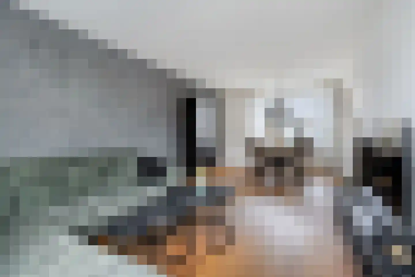 Paulus Potterlaan 22 Scherpenzeel foto 3
