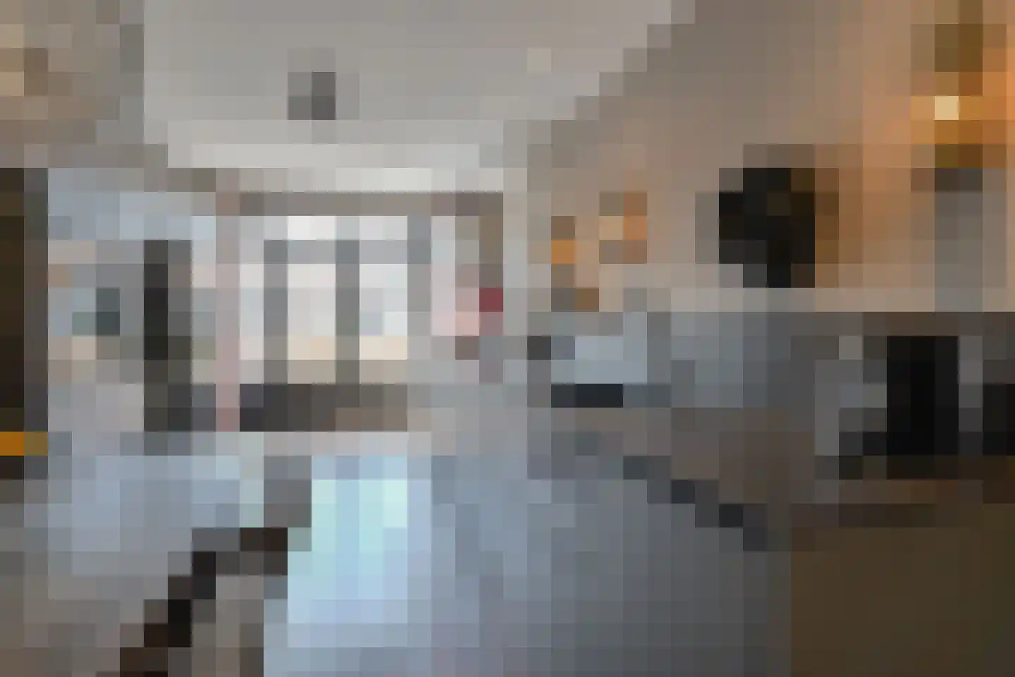 Paulus Potterlaan 23 Rijswijk thumbnail 10