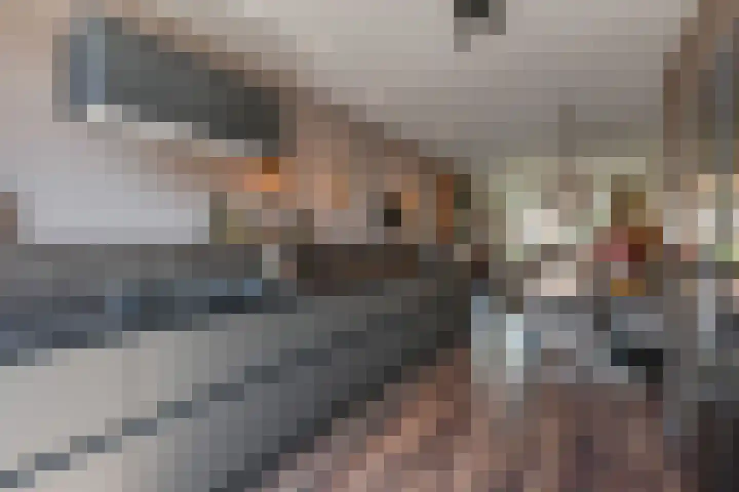 Paulus Potterlaan 23 Rijswijk thumbnail 11