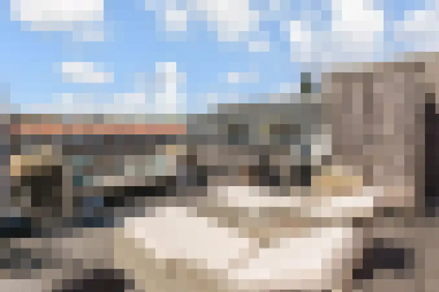 Paulus Potterlaan 23 Rijswijk thumbnail 16