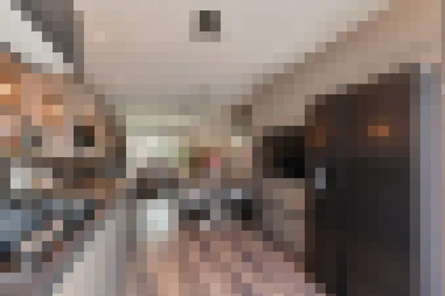 Paulus Potterlaan 23 Rijswijk thumbnail 17