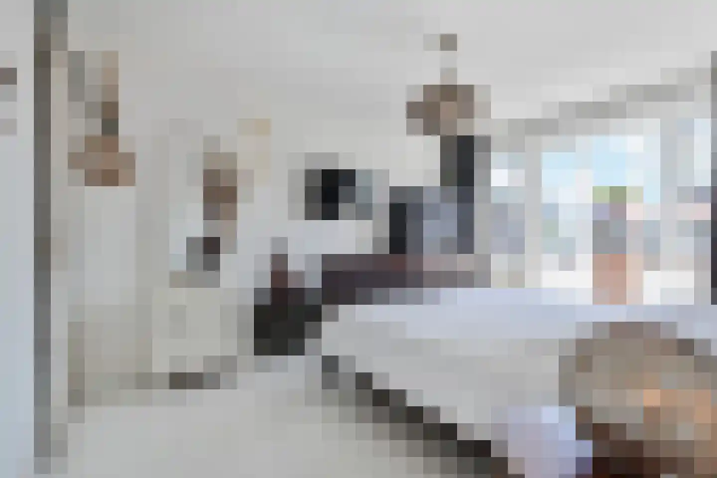 Paulus Potterlaan 23 Rijswijk thumbnail 22