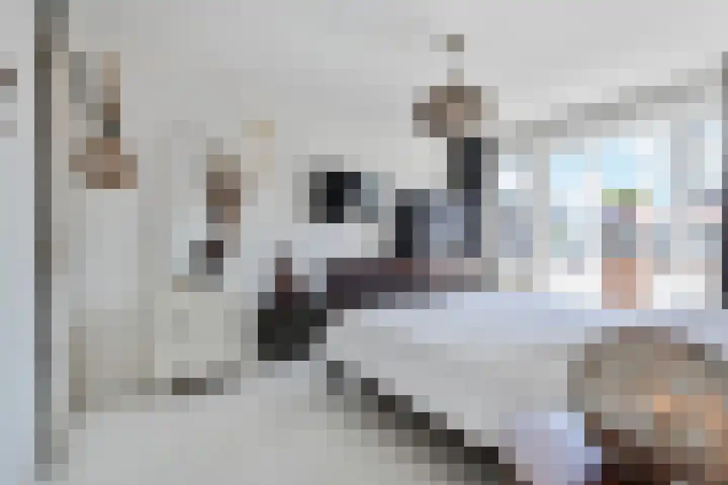 Paulus Potterlaan 23 Rijswijk thumbnail 25