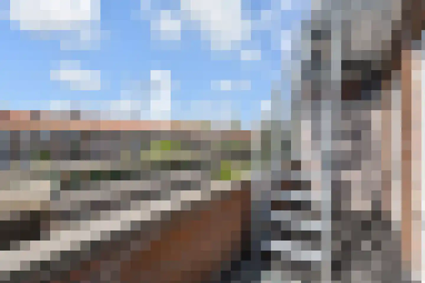 Paulus Potterlaan 23 Rijswijk thumbnail 28