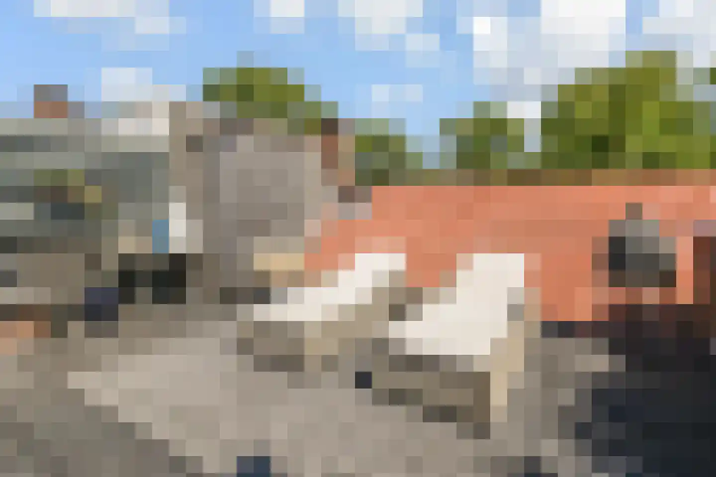 Paulus Potterlaan 23 Rijswijk thumbnail 31