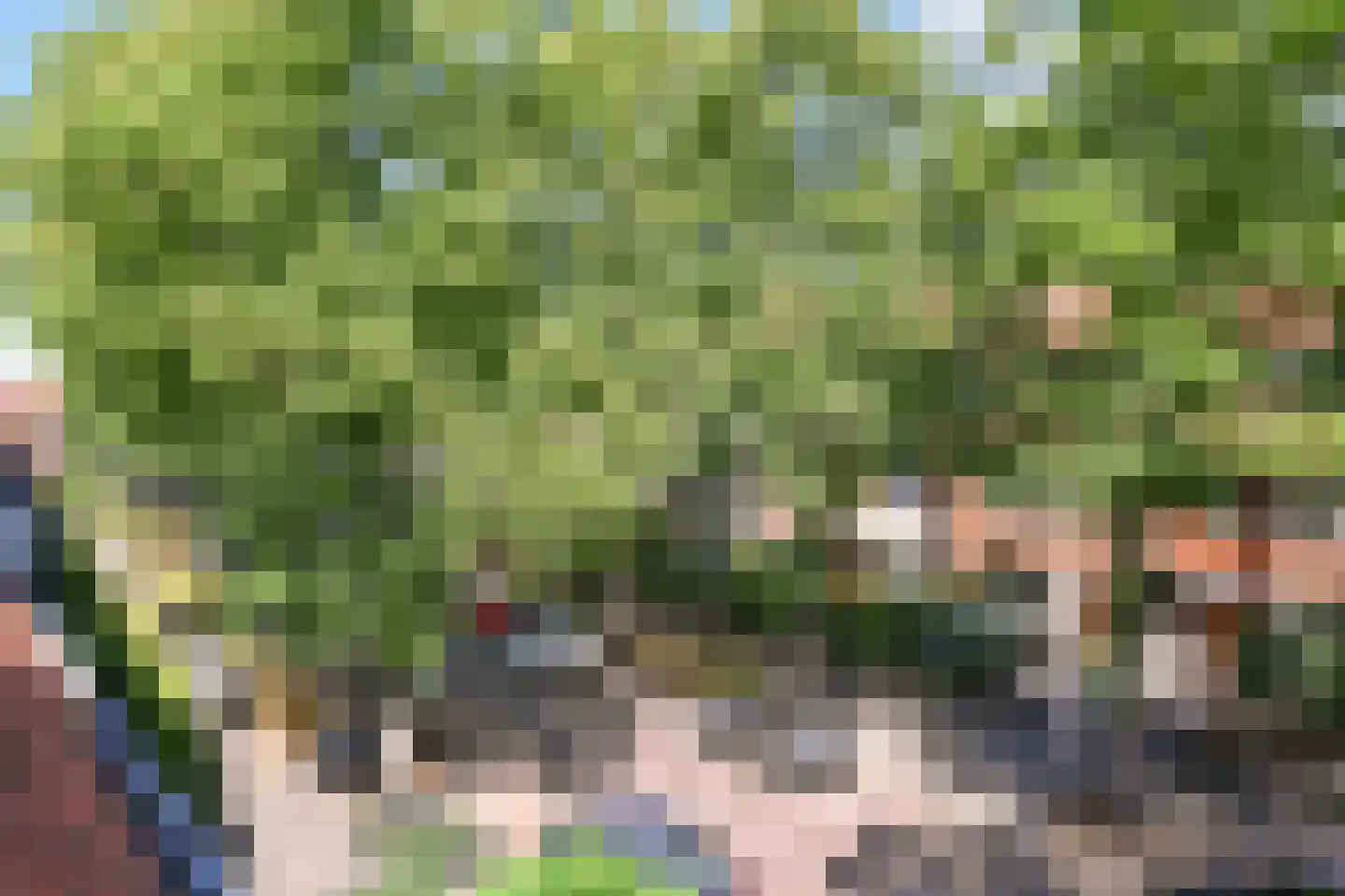 Paulus Potterlaan 23 Rijswijk thumbnail 34