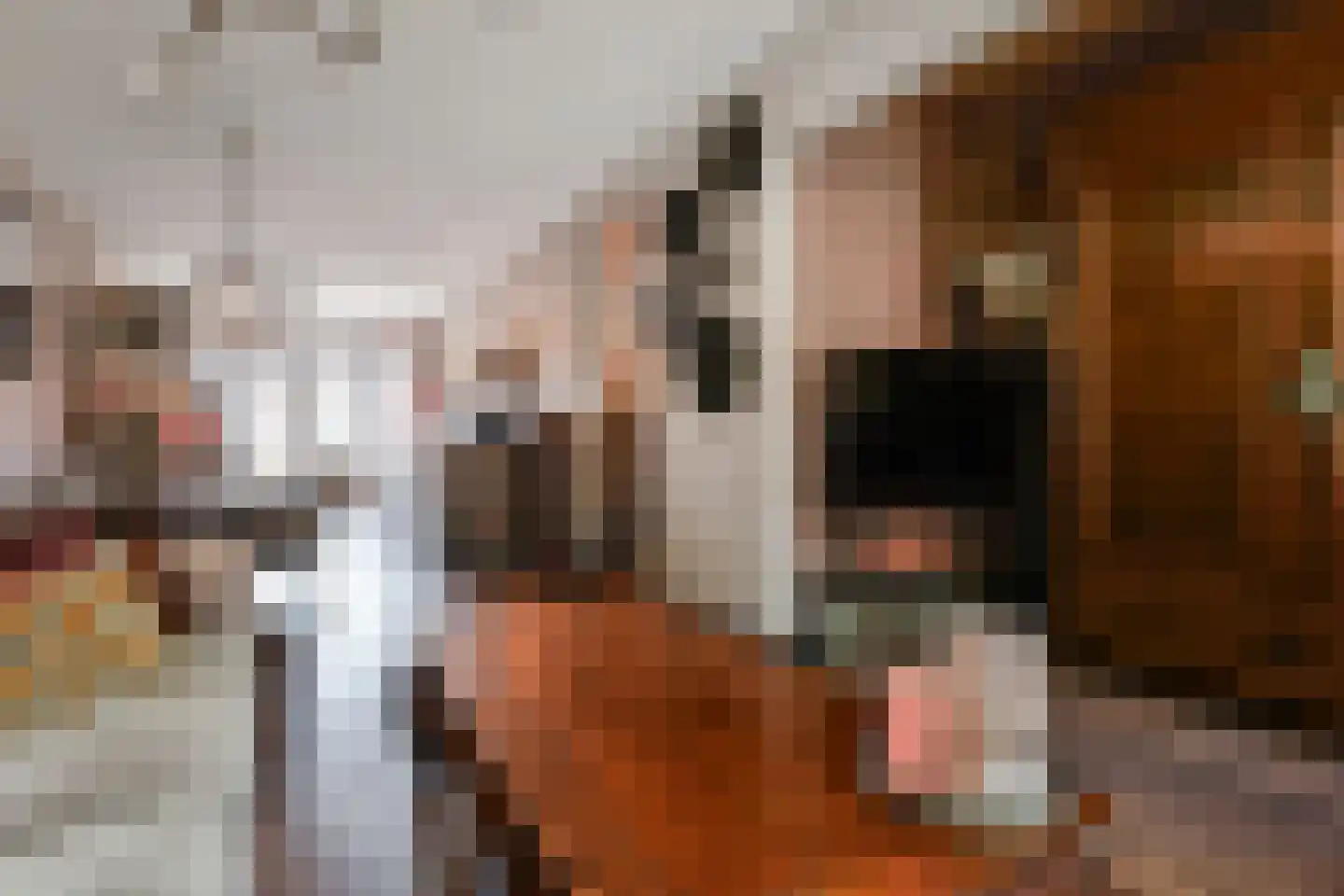 Paulus Potterlaan 23 Rijswijk thumbnail 4