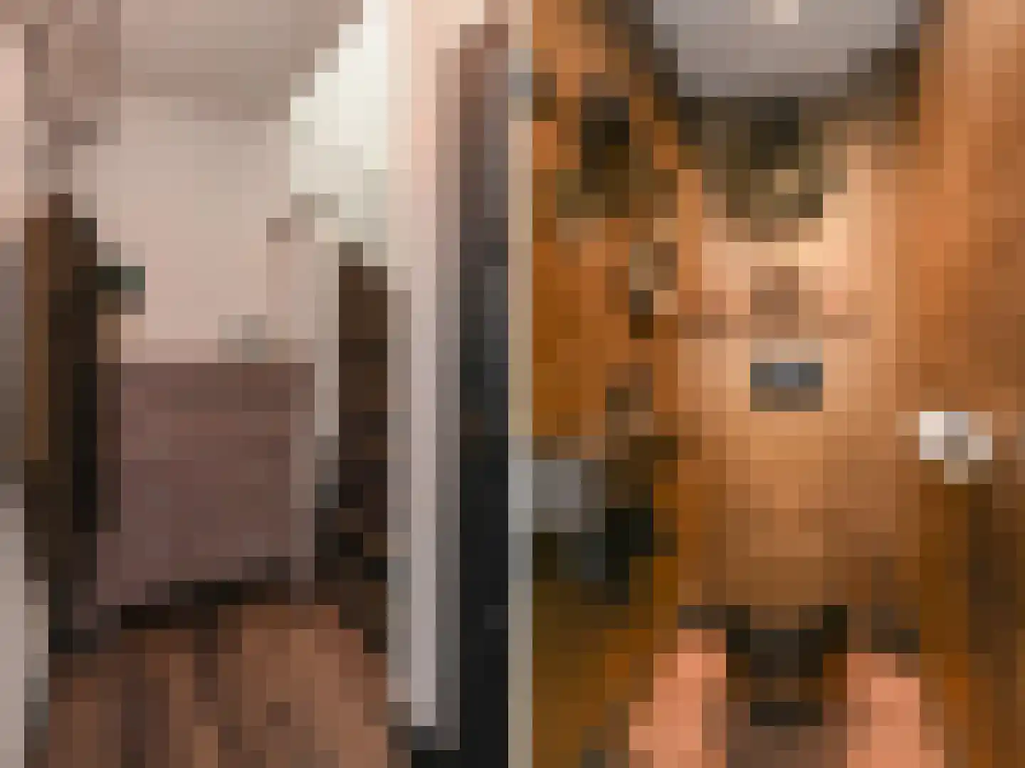 Paulus Potterlaan 23 Rijswijk thumbnail 6