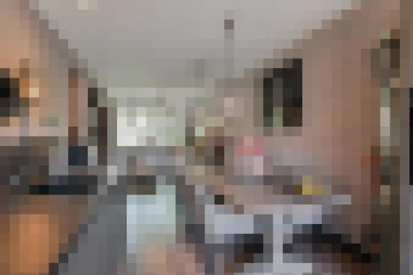 Paulus Potterlaan 23 Rijswijk thumbnail 7