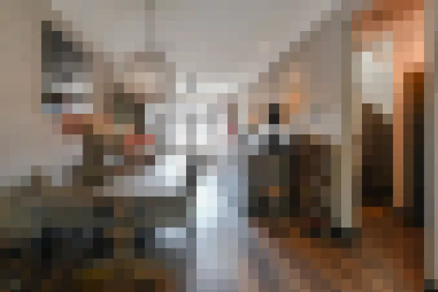 Paulus Potterlaan 23 Rijswijk thumbnail 8