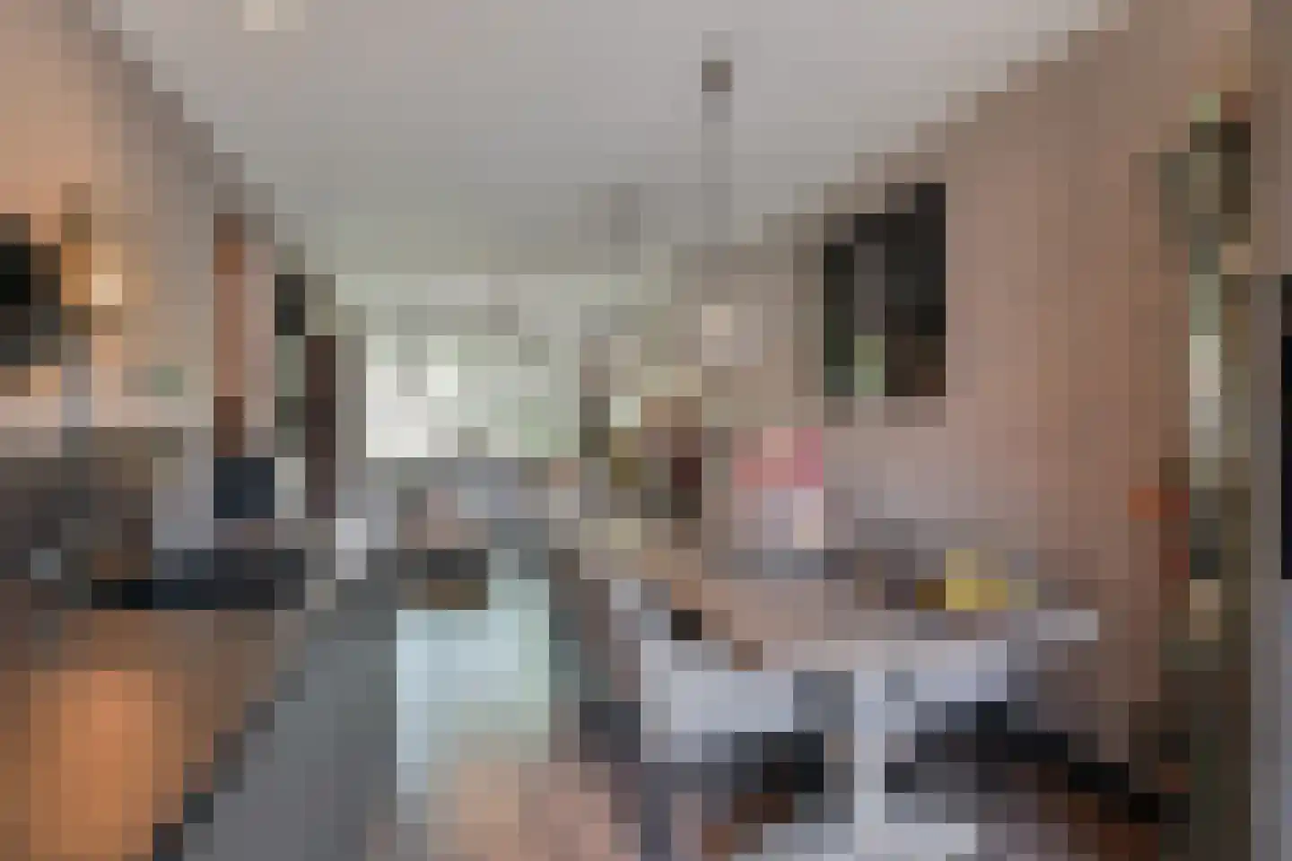 Paulus Potterlaan 23 Rijswijk thumbnail 9