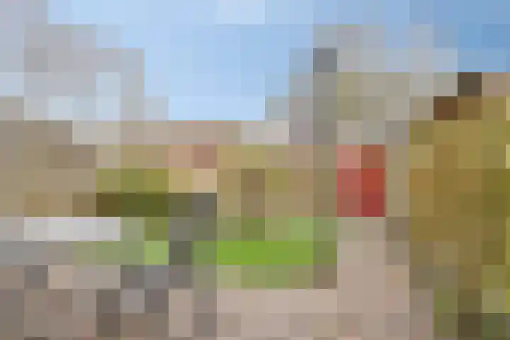 Paulus Potterlaan 24 Scherpenzeel thumbnail 19