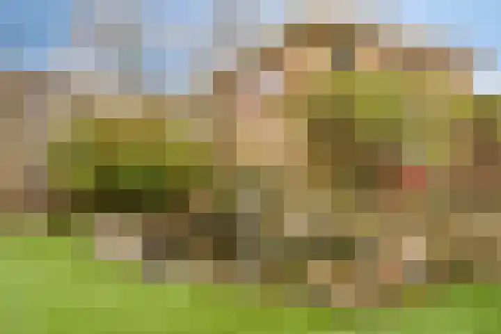 Paulus Potterlaan 24 Scherpenzeel thumbnail 20