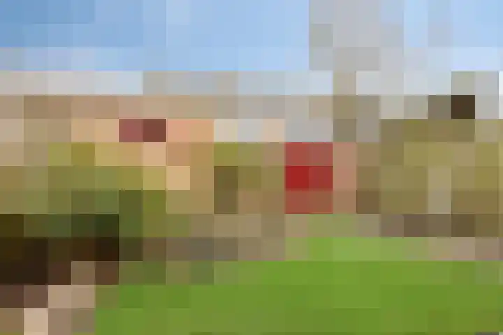 Paulus Potterlaan 24 Scherpenzeel thumbnail 21