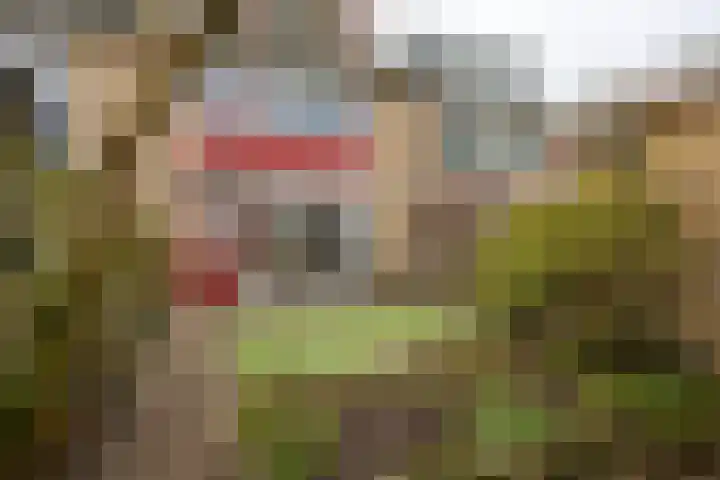Paulus Potterlaan 24 Scherpenzeel thumbnail 22