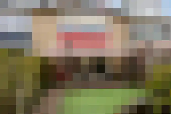 Paulus Potterlaan 24 Scherpenzeel thumbnail 23