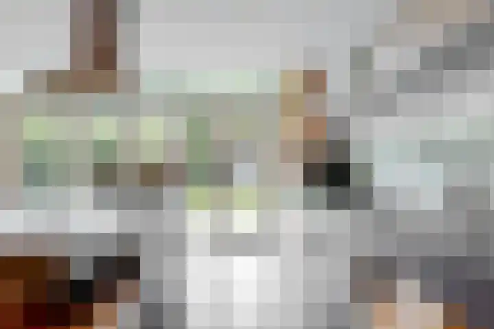 Paulus Potterlaan 3 A Bilthoven thumbnail 14