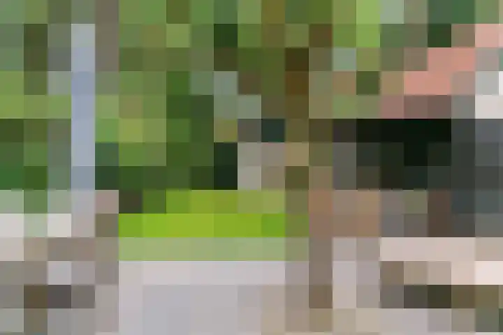Paulus Potterlaan 3 A Bilthoven thumbnail 29
