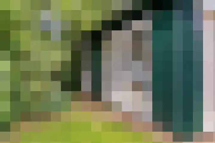 Paulus Potterlaan 3 A Bilthoven thumbnail 31