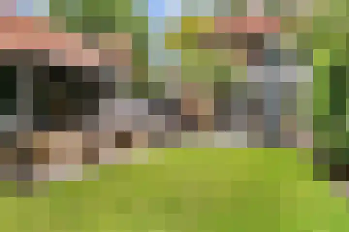 Paulus Potterlaan 3 A Bilthoven thumbnail 34