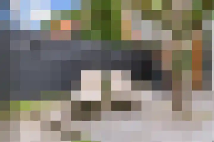 Paulus Potterlaan 3 A Bilthoven thumbnail 35