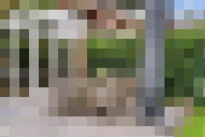 Paulus Potterlaan 3 A Bilthoven thumbnail 36