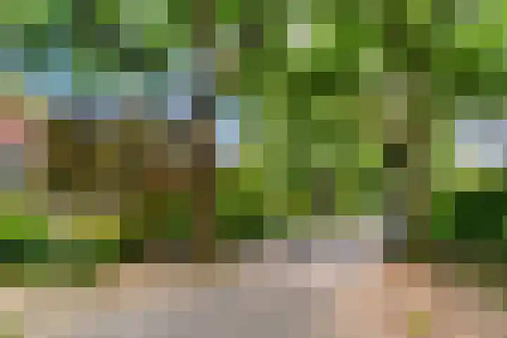 Paulus Potterlaan 3 A Bilthoven thumbnail 38